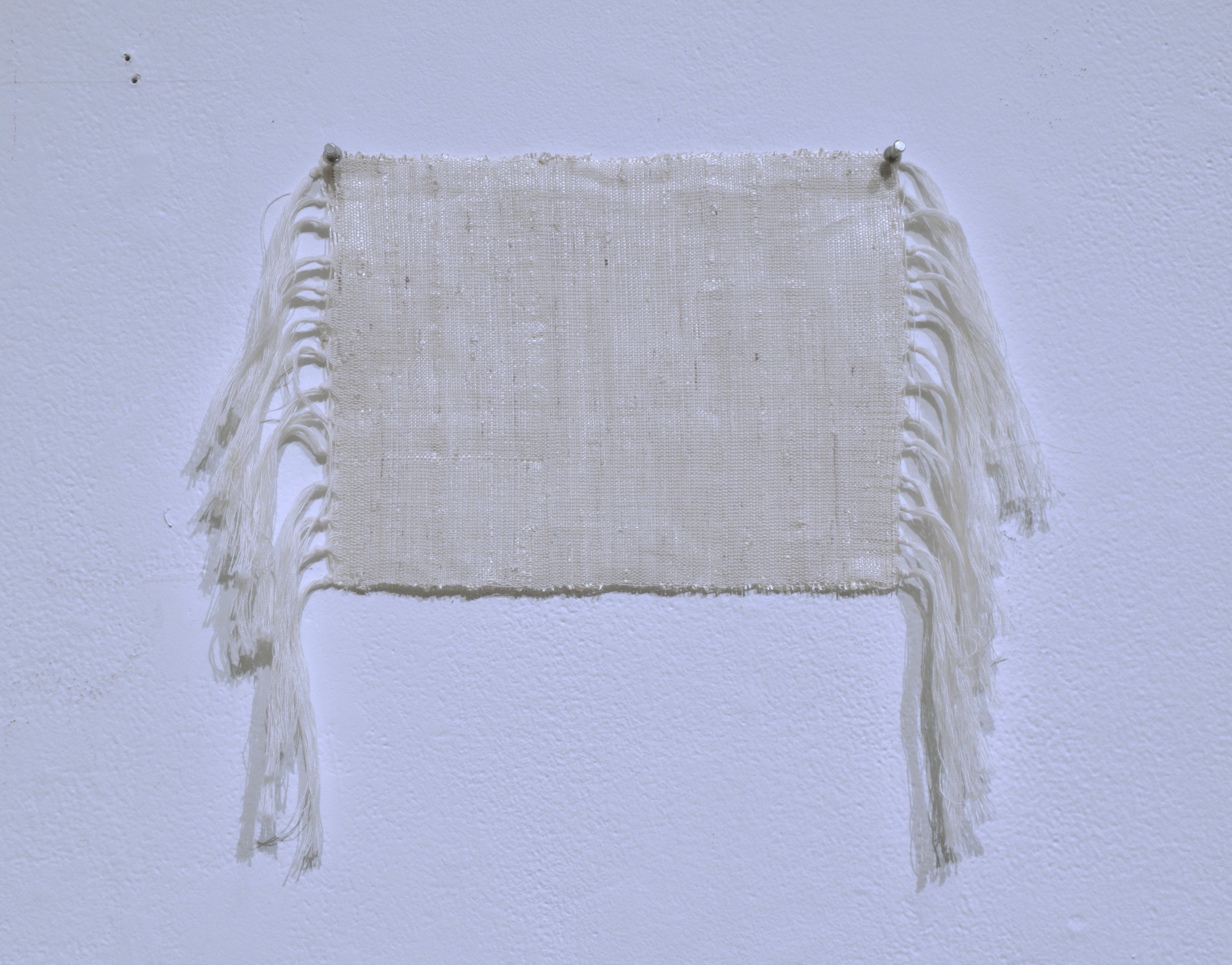 kudzu fiber, cotton warp