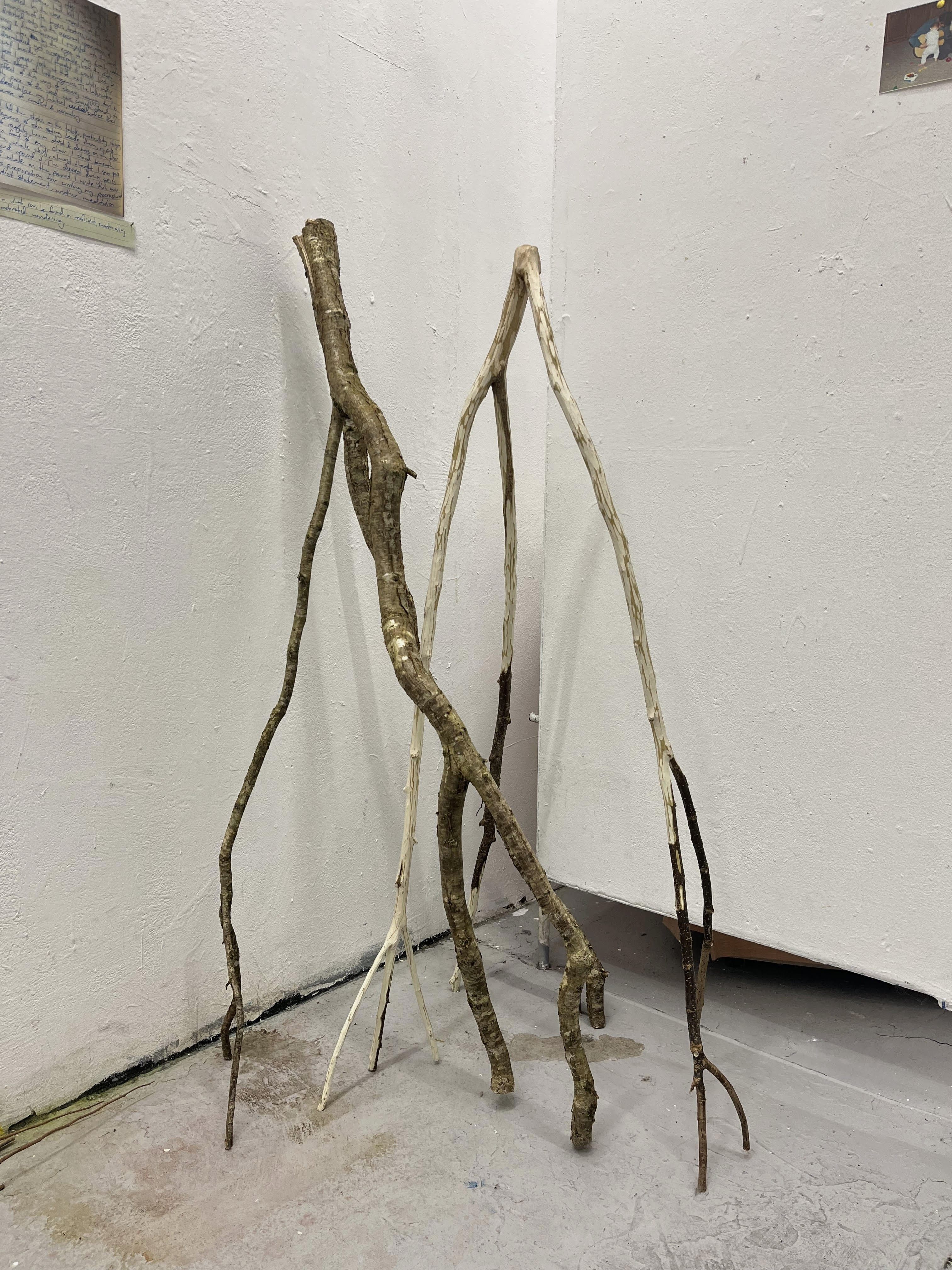 hazels standing upside down